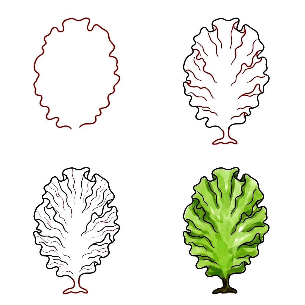 Meersalat Algen zeichnen ideen