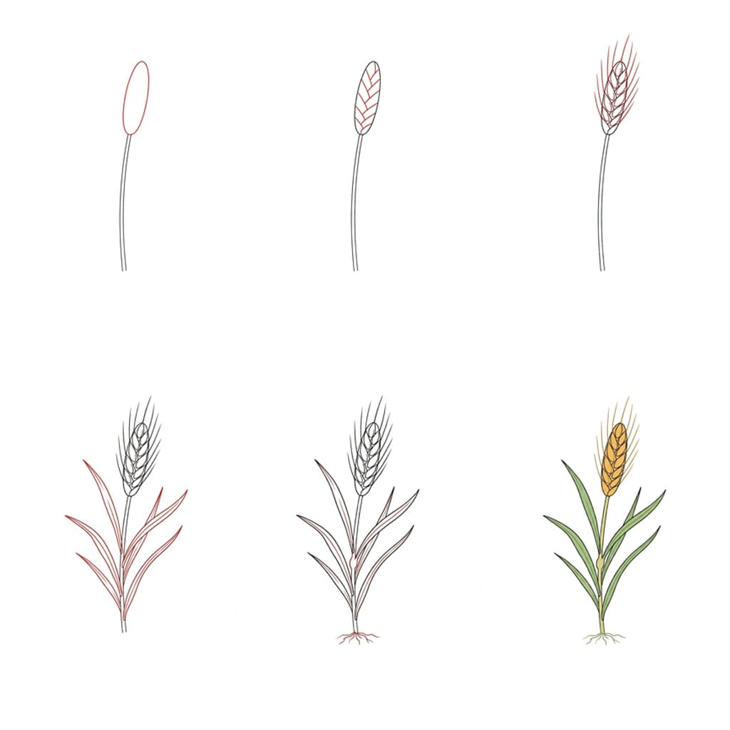 Blasser Weizen zeichnen ideen