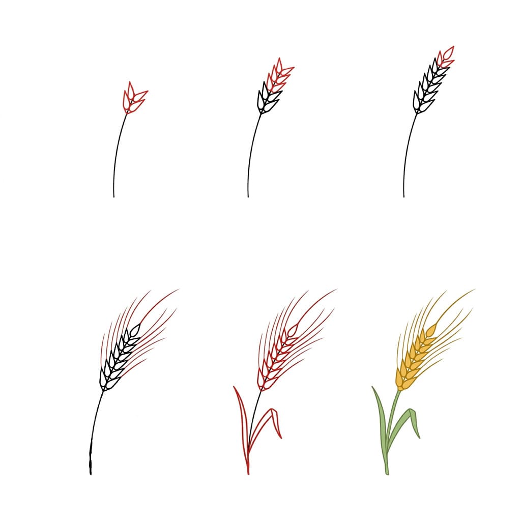 Dünner Weizen zeichnen ideen