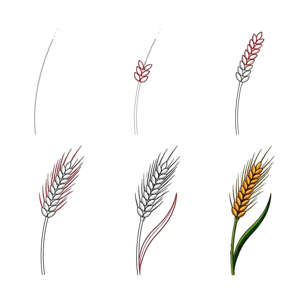 Einfacher Weizen zeichnen ideen