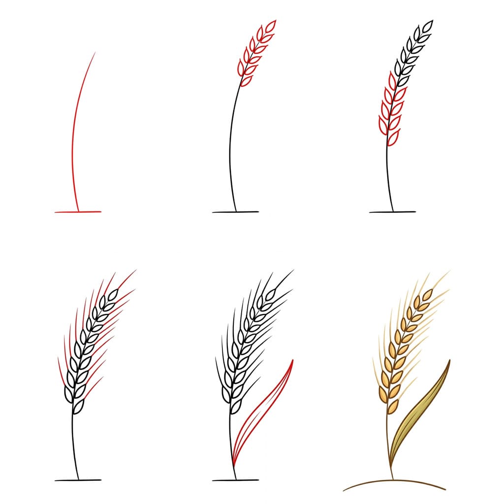 Goldener Weizen zeichnen ideen