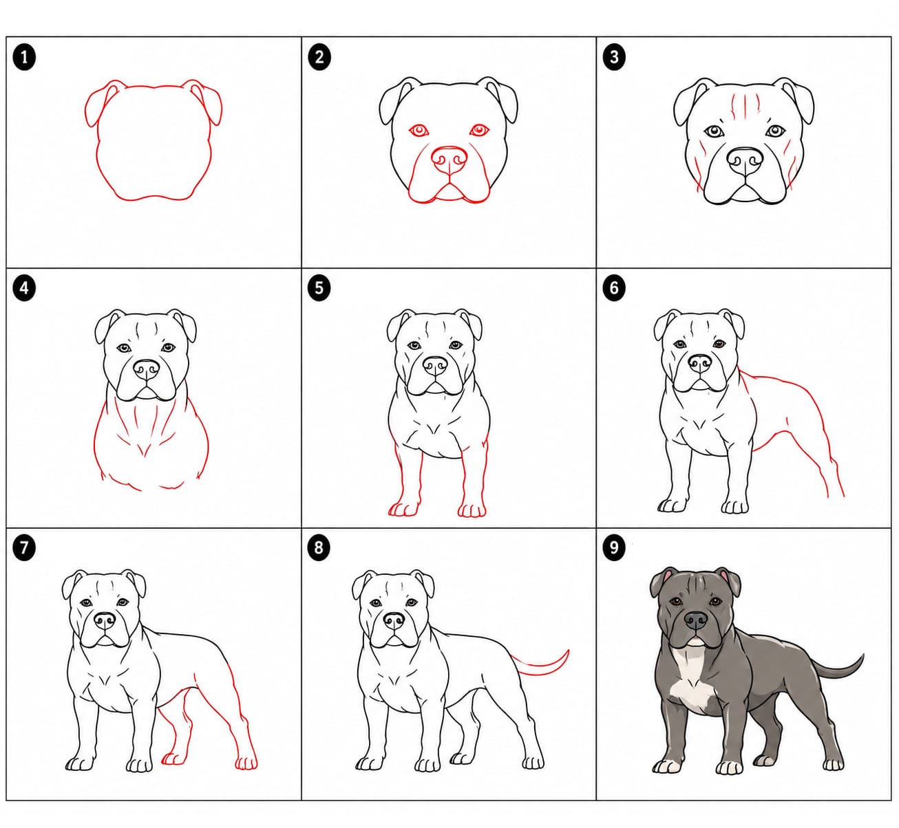 Großer Pitbull zeichnen ideen