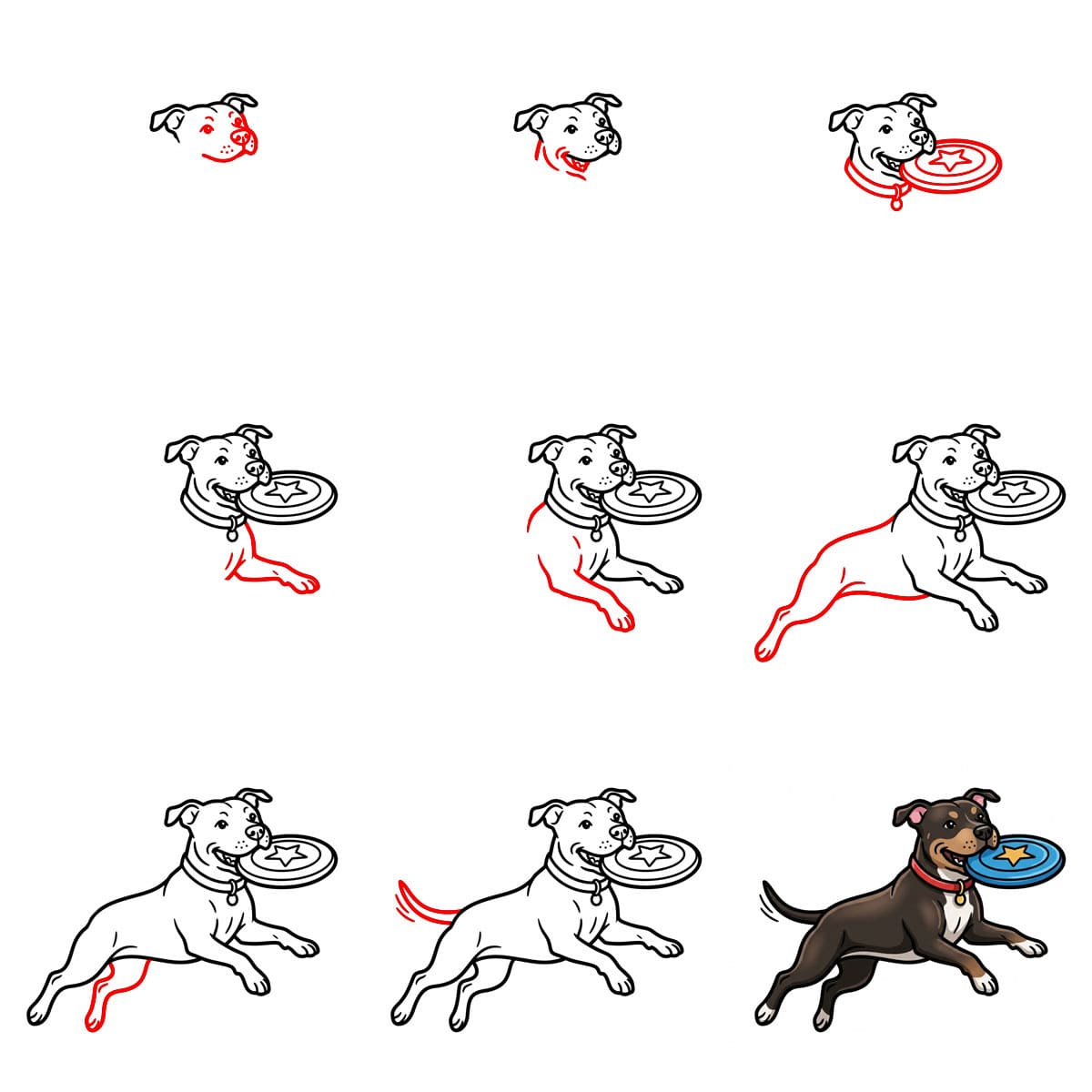 Pitbull fängt beim Springen zeichnen ideen