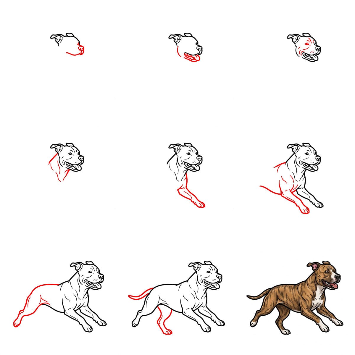 Pitbull rennt zeichnen ideen