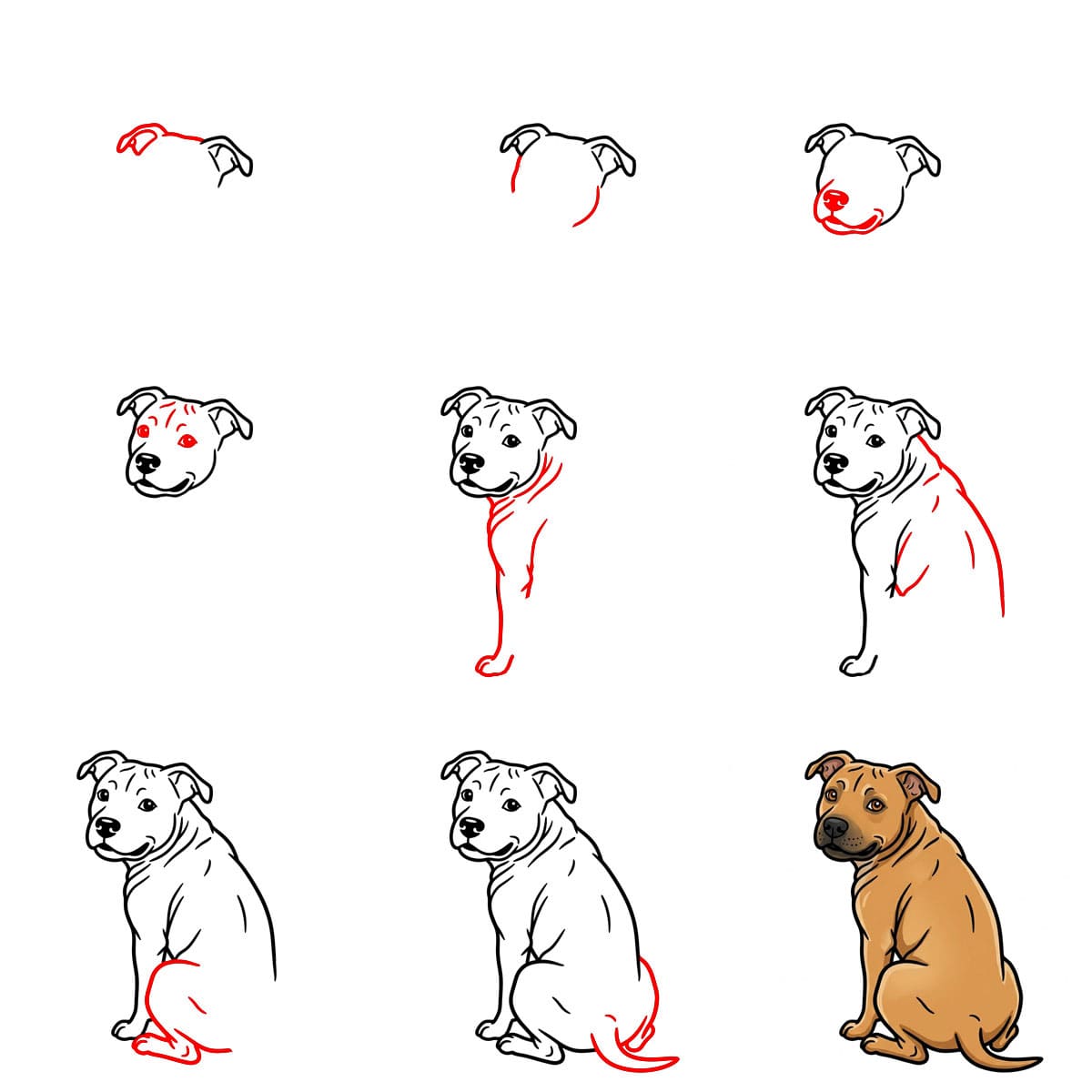 Pitbull schaut zurück zeichnen ideen