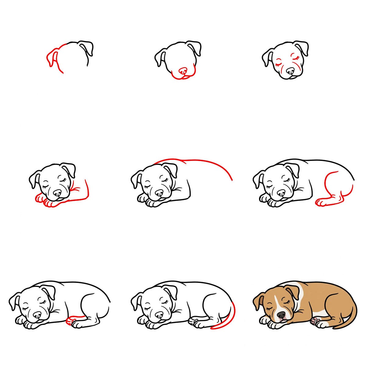 Pitbull schläft zeichnen ideen