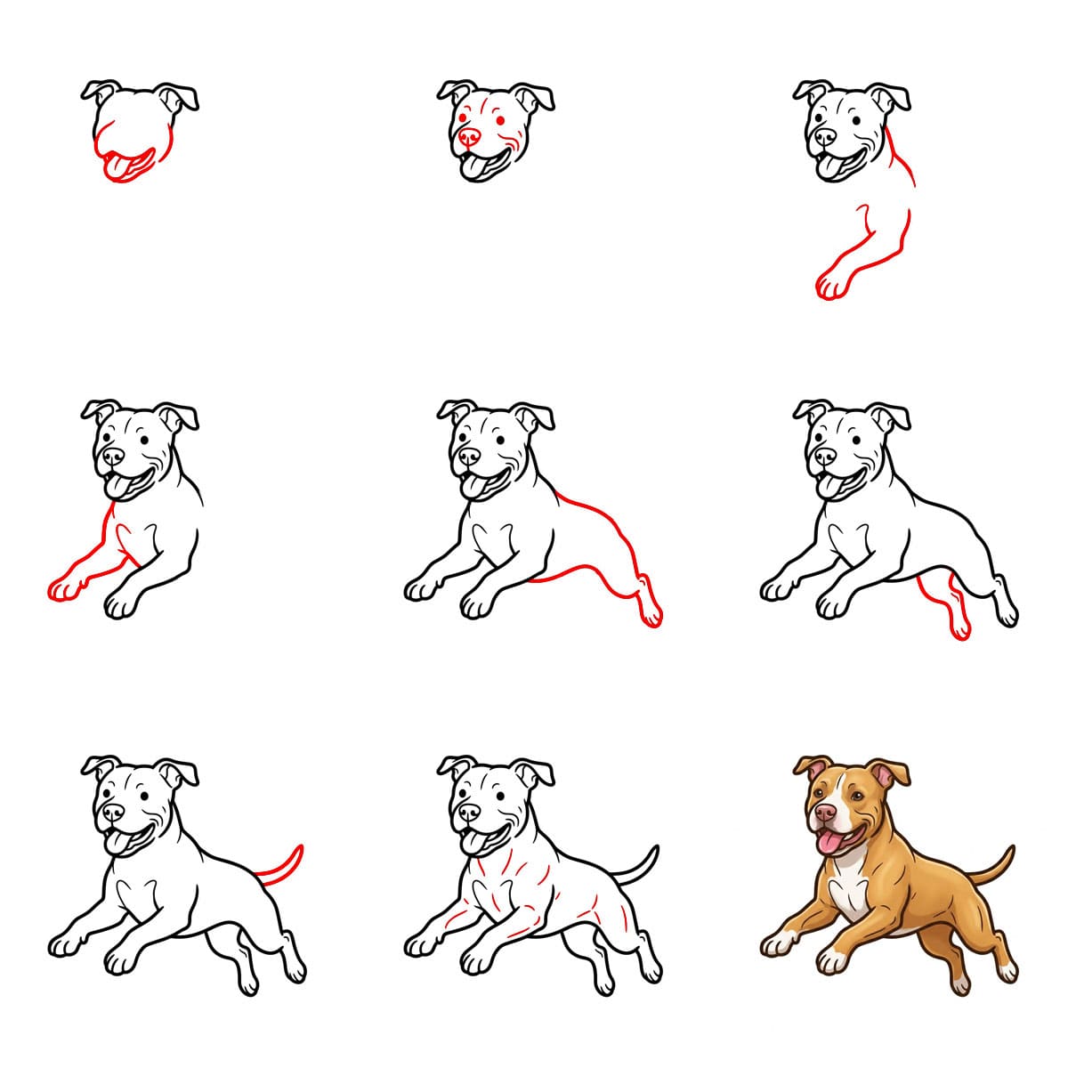 Pitbull zeichnen ideen