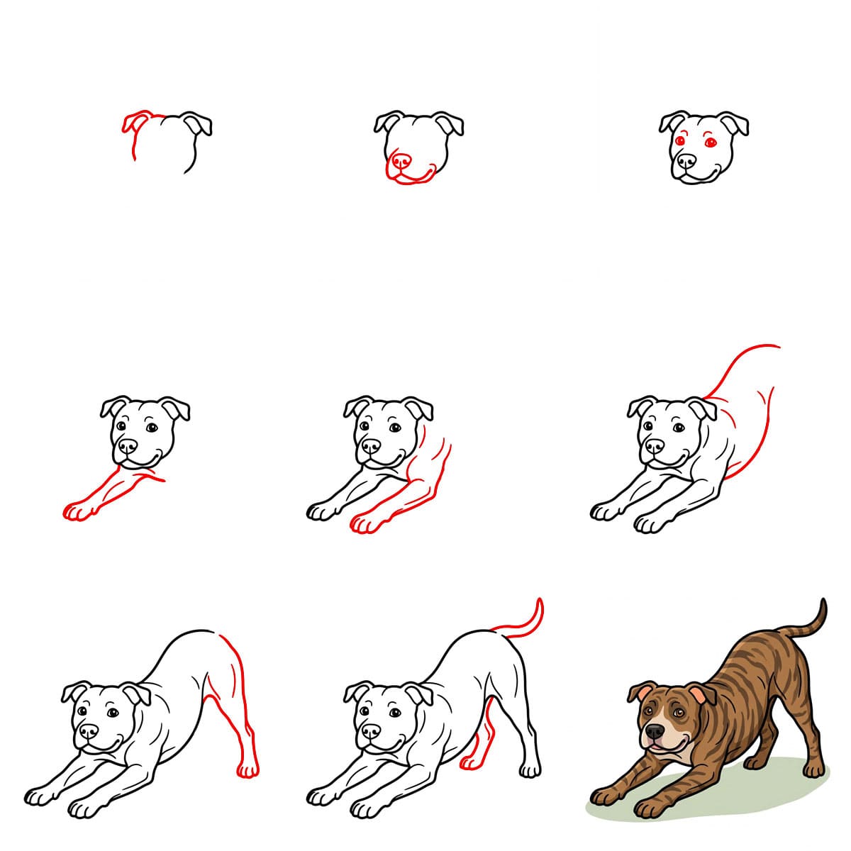 Pitbull streckt sich zeichnen ideen