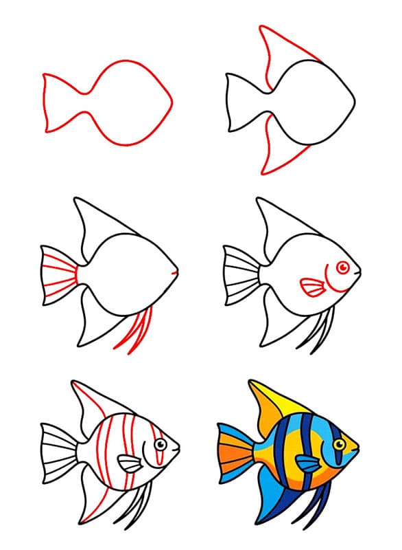 Aquarium Kaiserfische zeichnen ideen