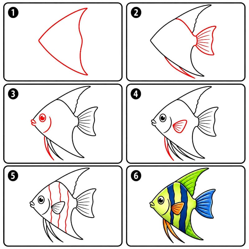 Grüne Kaiserfische zeichnen ideen