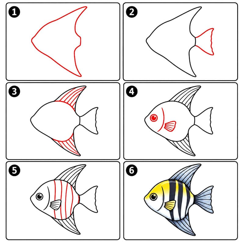 Kaiserfische Einfache Niedliche zeichnen ideen