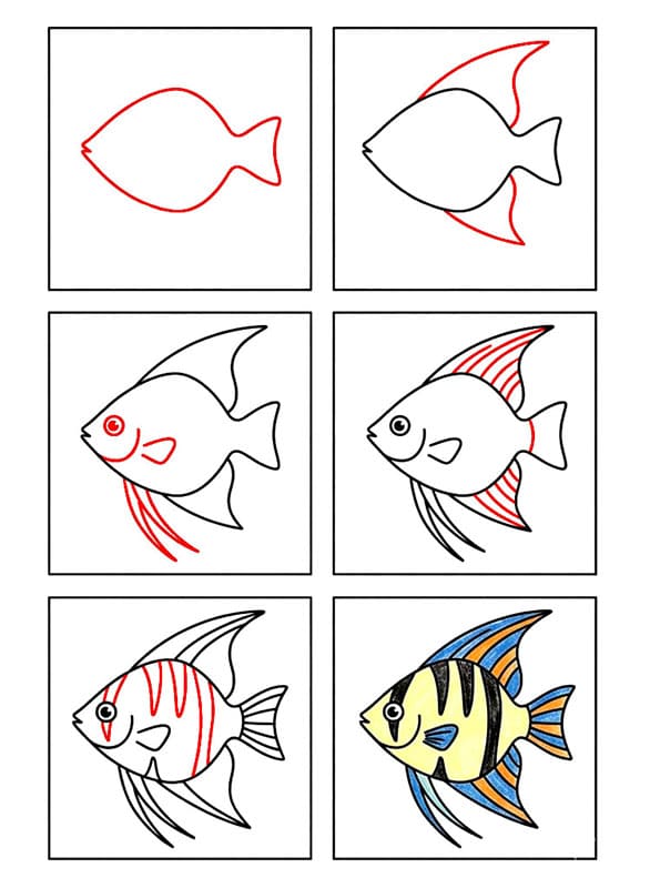 Kaiserfisch zeichnen ideen