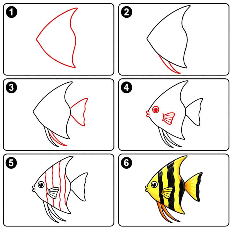 Kaiserfische mit großen Augen zeichnen ideen