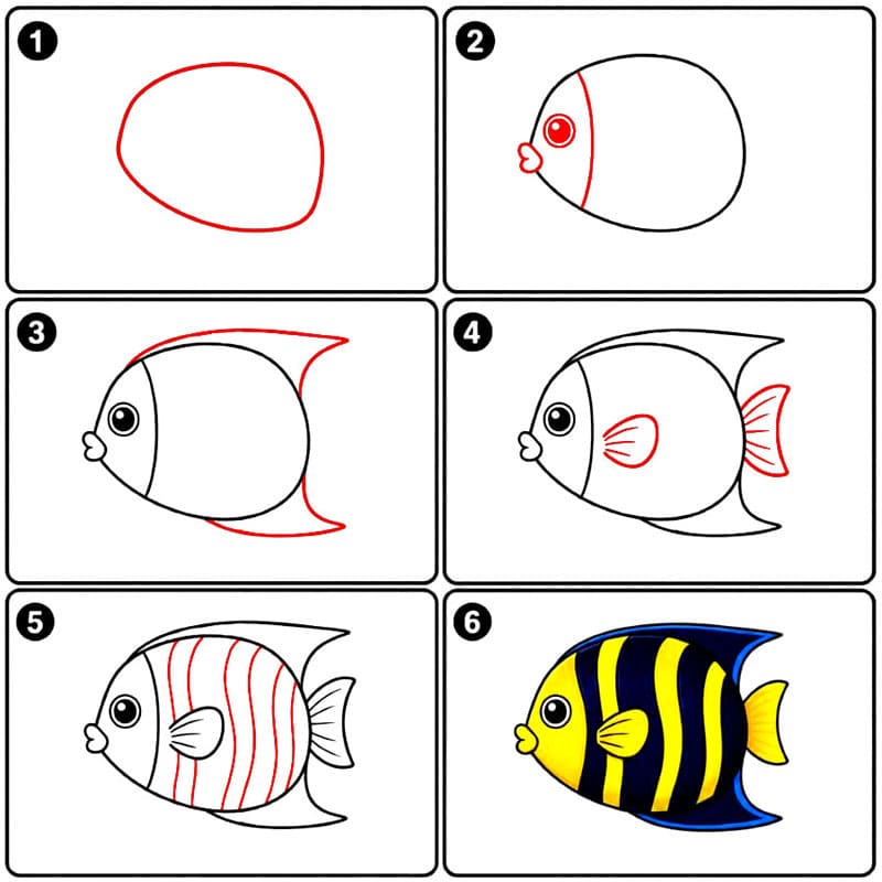 Korallen Kaiserfische zeichnen ideen