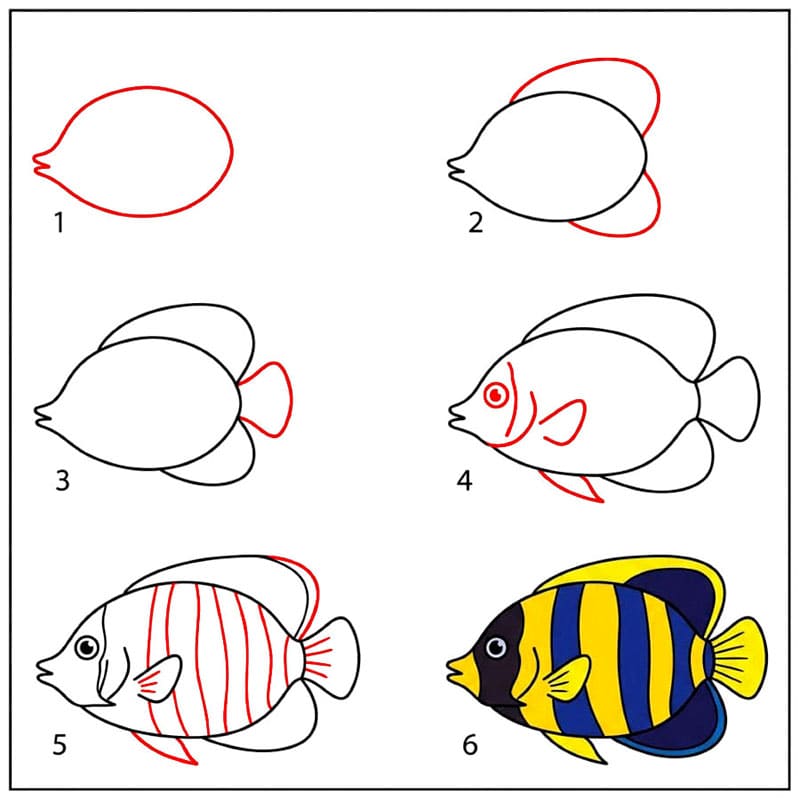 Riesenkaiserfische Pomacanthus zeichnen ideen