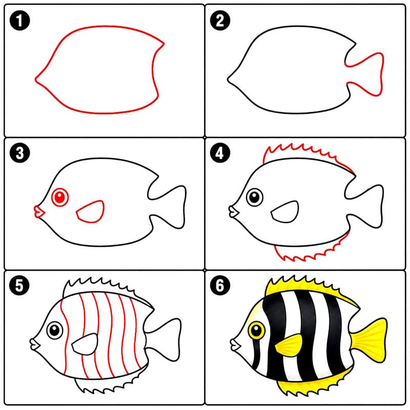 See Kaiserfische zeichnen ideen