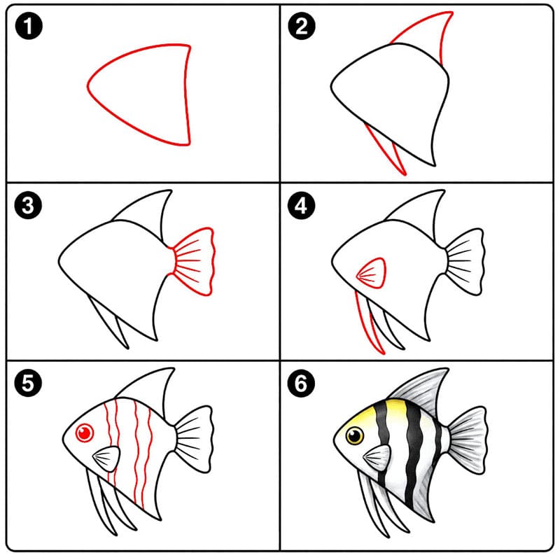 Süßwasser Kaiserfische zeichnen ideen