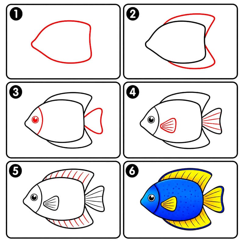 Zwergkaiserfische zeichnen ideen