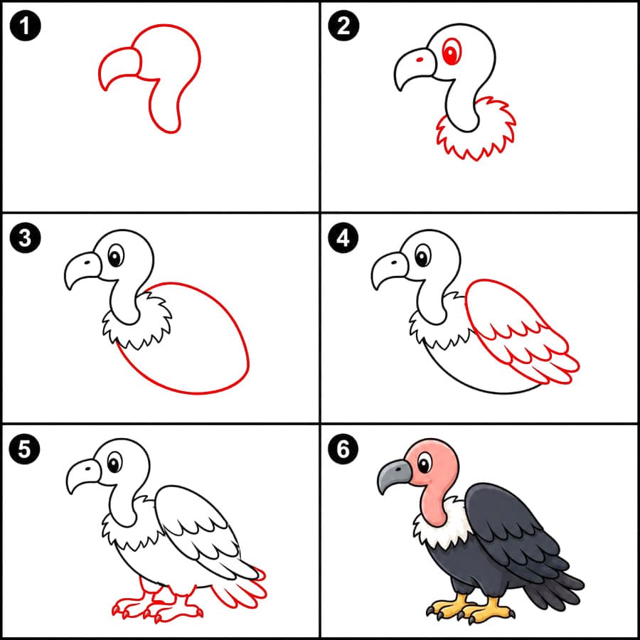 Geier Grafik zeichnen ideen