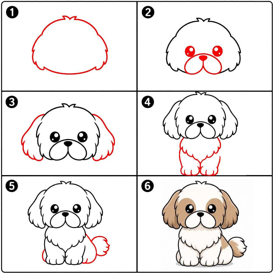 Chibi-tyylinen shih tzu zeichnen ideen