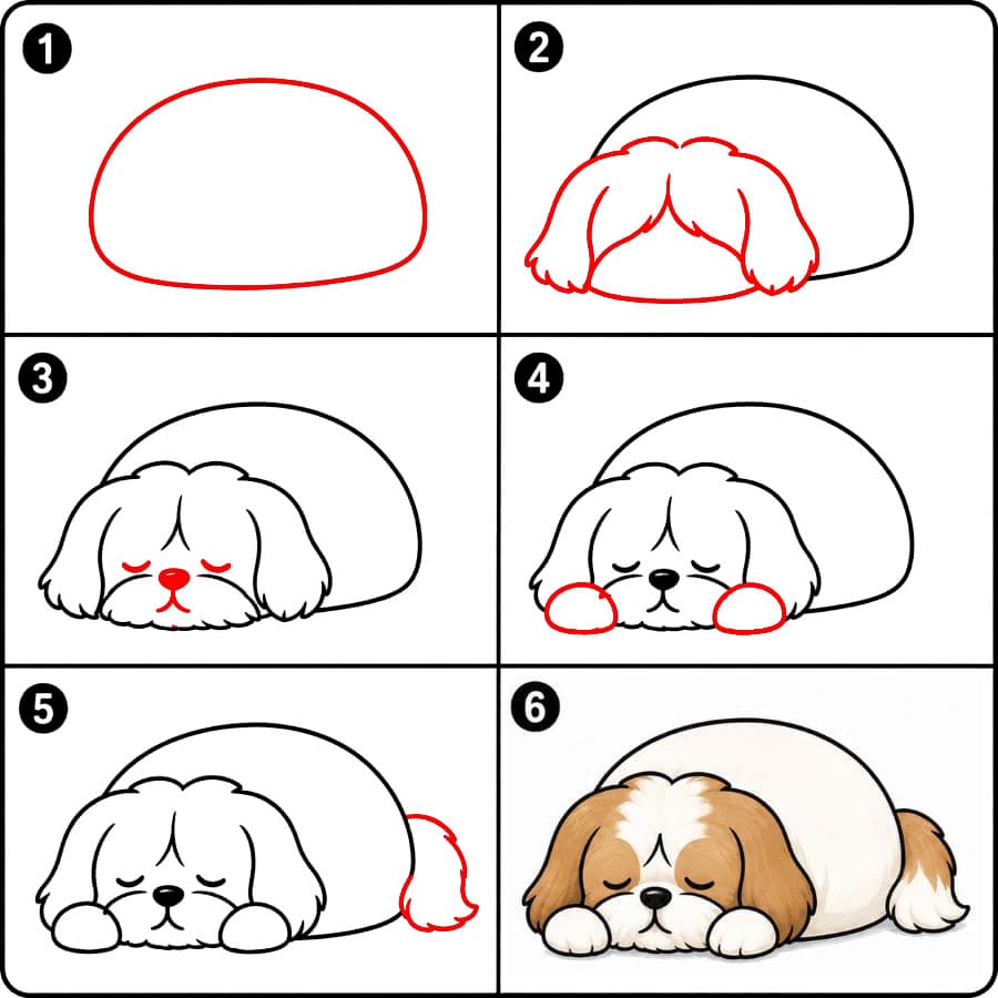 Nukkuva shih tzu zeichnen ideen