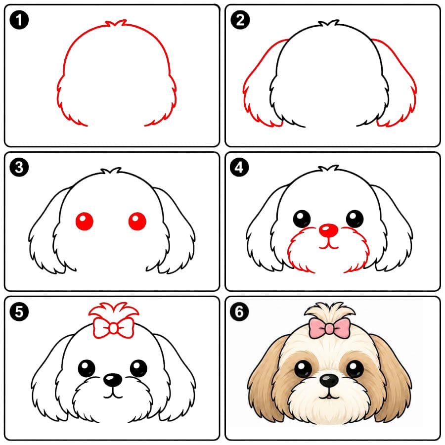 Pörröinen shih tzu -naama zeichnen ideen