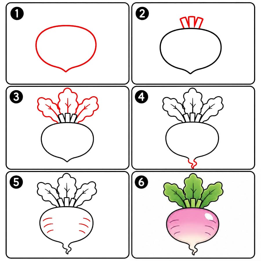Rosa Rübe zeichnen ideen