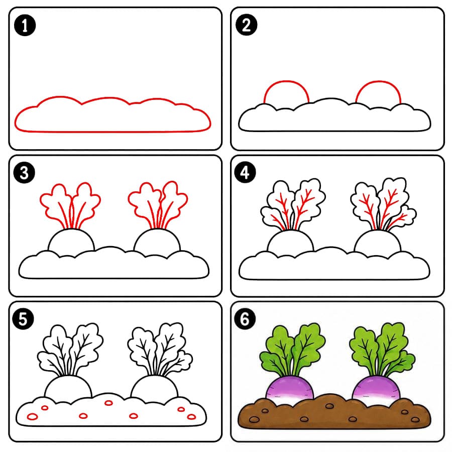 Rüben im Garten zeichnen ideen