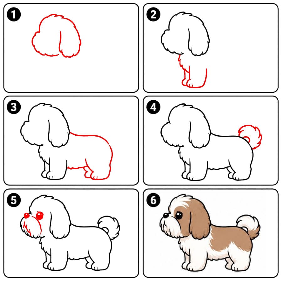 Shih tzu -koira zeichnen ideen