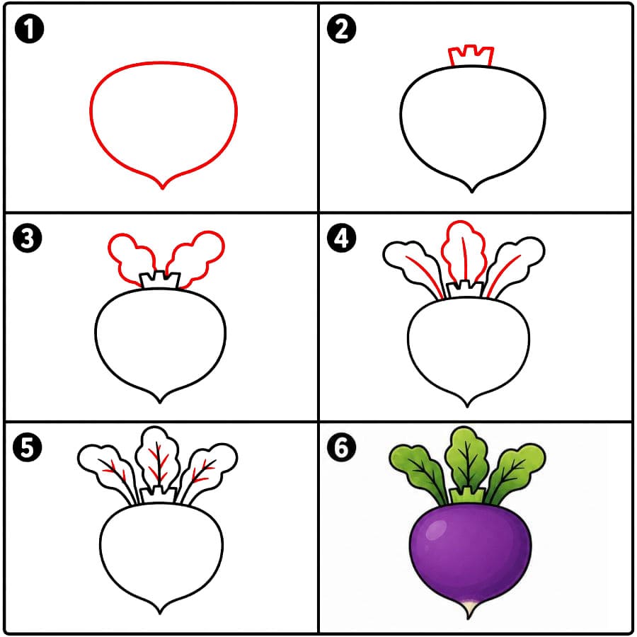 Violette Rübe zeichnen ideen